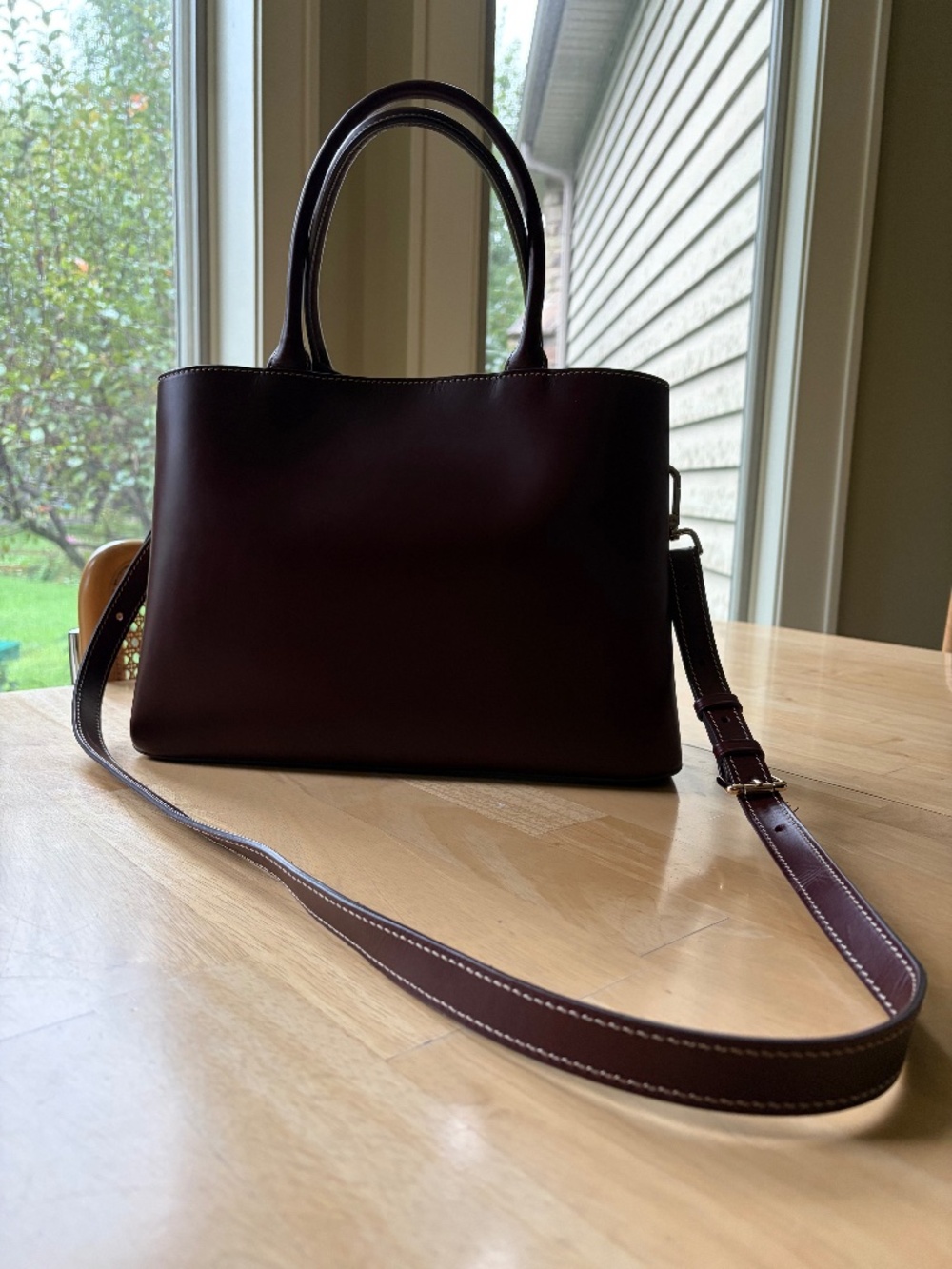 Dooney and Bourke Alto Elenora Bordeaux